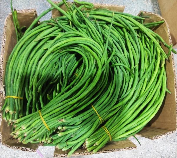 YARD LONG BEAN