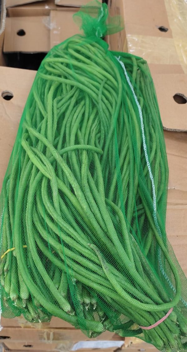 YARD LONG BEAN - Image 2