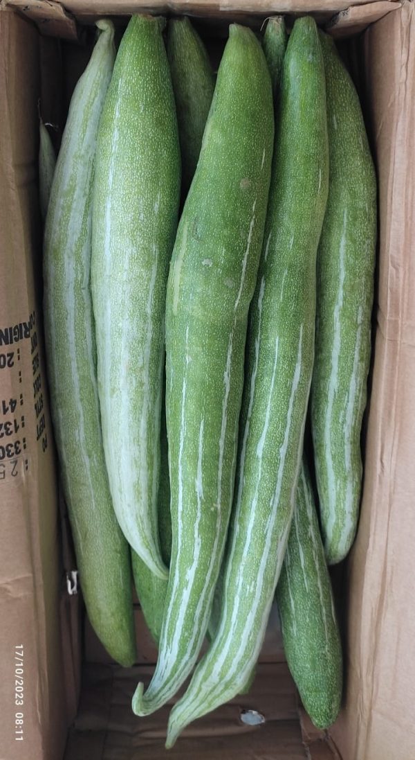 SNAKE GOURD